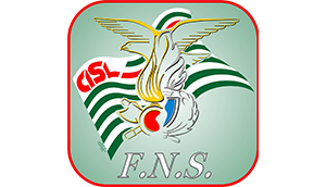 Fns