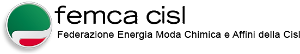 Femca