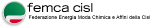 Femca