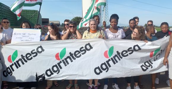 agrintesa sciopero cooperazione agricola